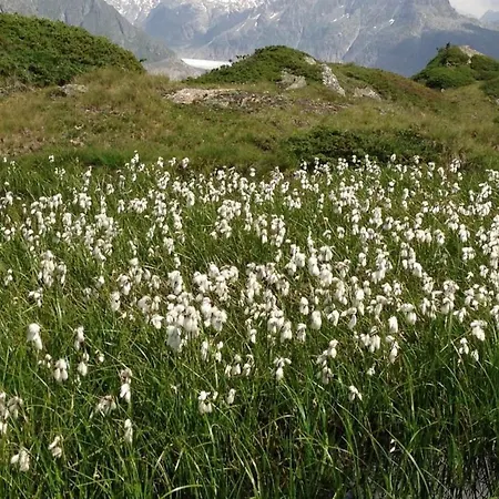 Abendrot Eg Sued-west By Interhome Appartamento Riederalp