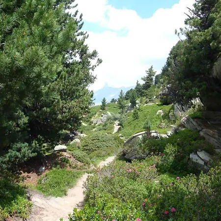 Abendrot Eg Sued-west By Interhome Appartamento *